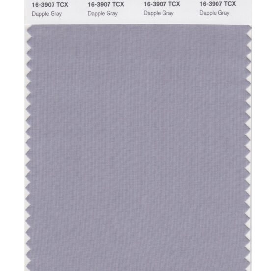 Pantone 16-3907 TCX Swatch Card Dapple Gray