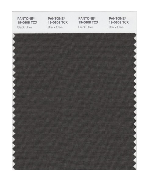 Pantone 19-0608 TCX Swatch Card Black Olive