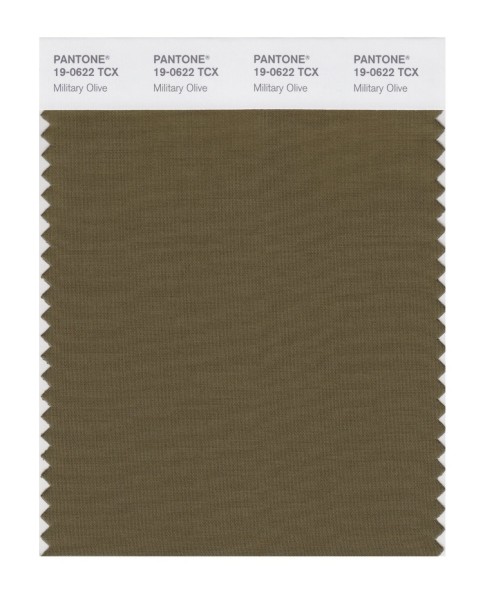 Pantone 19-0622 TCX Swatch Card Military Olive