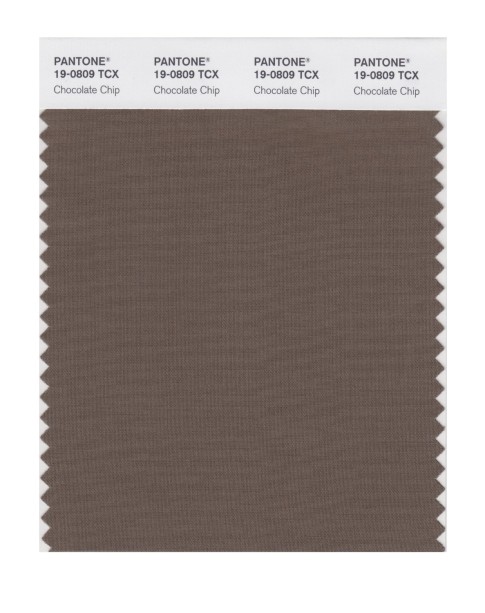 Pantone 19-0809 TCX Swatch Card Chocolate Chip