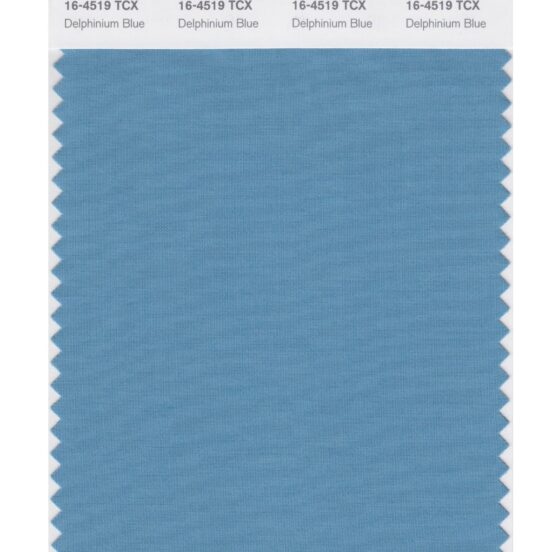 Pantone 16-4519 TCX Swatch Card Delphinium Blue