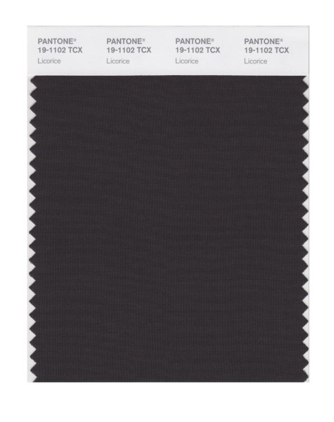 Pantone 19-1102 TCX Swatch Card Licorice
