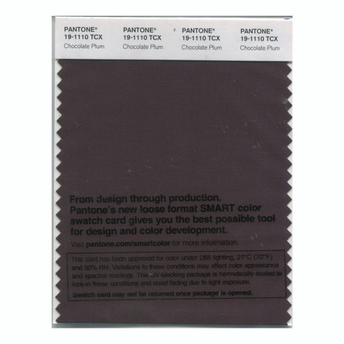 Pantone 19-1110 TCX Swatch Card Chocolate Plum