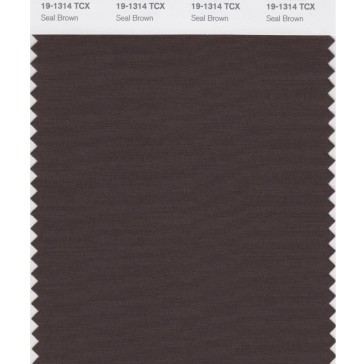 Pantone 19-1314 TCX Swatch Card Seal Brown