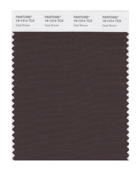 Pantone 19-1314 TCX Swatch Card Seal Brown