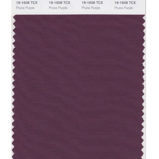 Pantone 19-1608 TCX Swatch Card Purple