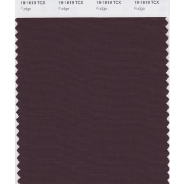 Pantone 19-1619 TCX Swatch Card Fudge