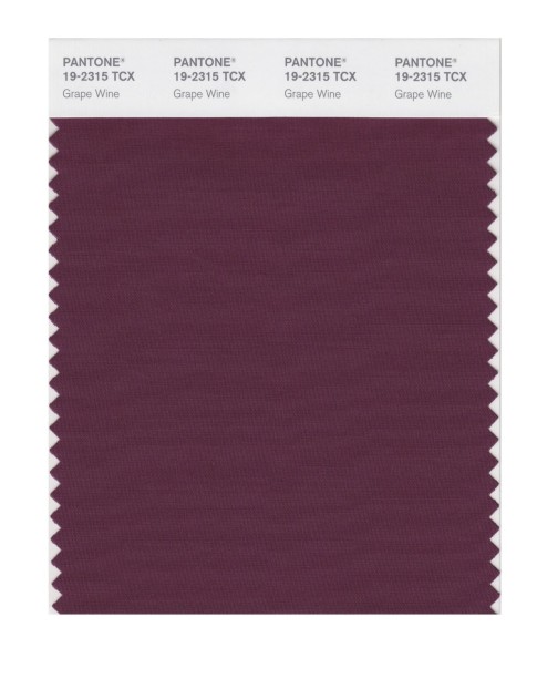 Pantone 19-2315 TCX Swatch Card Grape Wine
