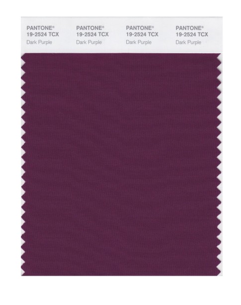 Pantone 19-2524 TCX Swatch Card Dark Purple