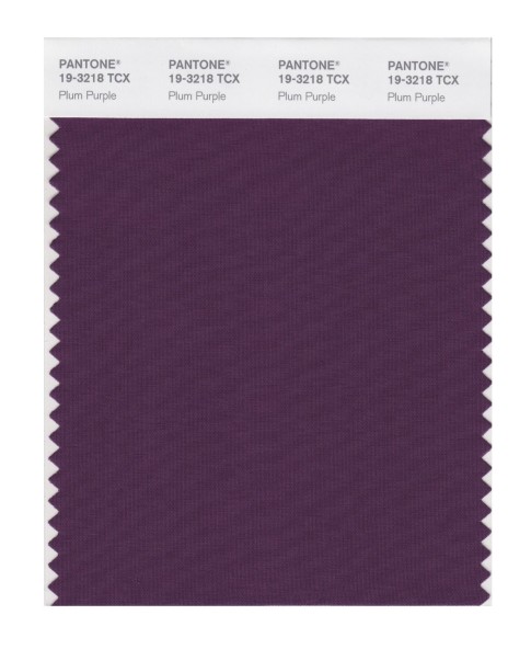 Pantone 19-3218 TCX Swatch Card Plum Purple