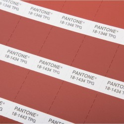 Pantone TPG Color Guide + Specifier Chips Set FHIP200 Fashion + Home + Interiors [2022 Edition]