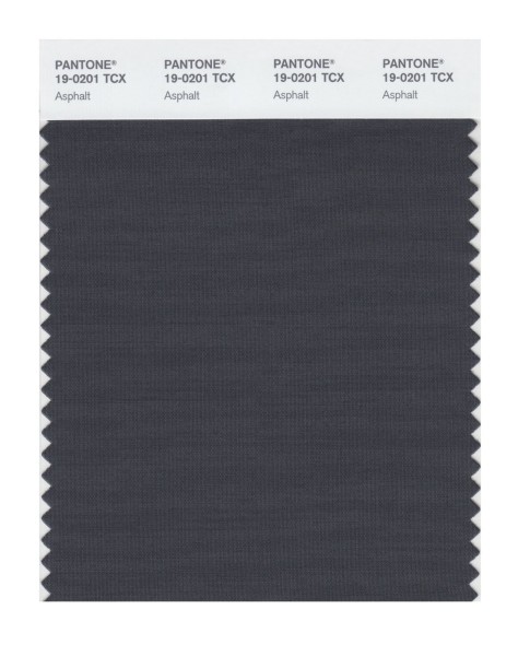 Pantone 19-0201 TCX Swatch Card Asphalt