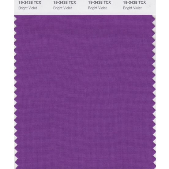 Pantone 19-3438 TCX Swatch Card Bright Violet