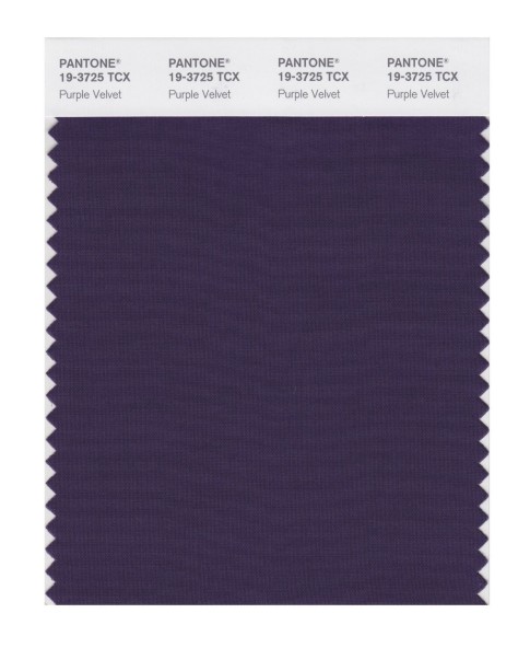 Pantone 19-3725 TCX Swatch Card Purple Velvet
