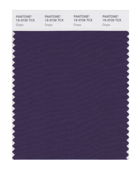 Pantone 19-3728 TCX Swatch Card Grape