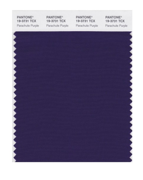Pantone 19-3731 TCX Swatch Card Parachute Purple