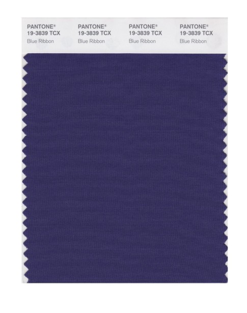 Pantone 19-3839 TCX Swatch Card Blue Ribbon