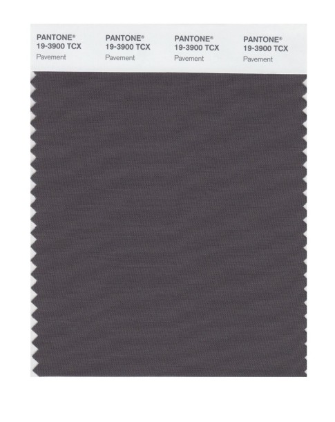 Pantone 19-3900 TCX Swatch Card Pavement