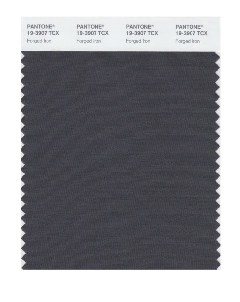 Pantone 19-3907 TCX Swatch Card Forged Iron