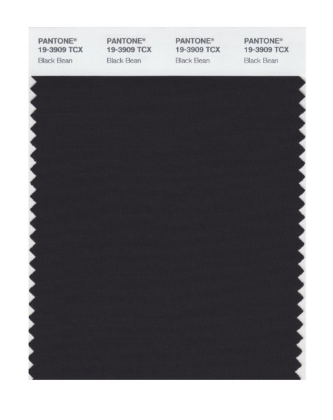 Pantone 19-3909 TCX Swatch Card Black Bean