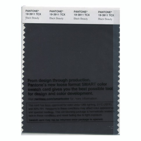 Pantone 19-3911 TCX Swatch Card Black Beauty