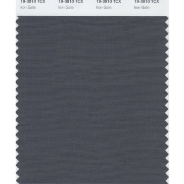 Pantone 19-3910 TCX Swatch Card Iron Gate