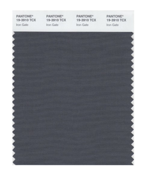 Pantone 19-3910 TCX Swatch Card Iron Gate