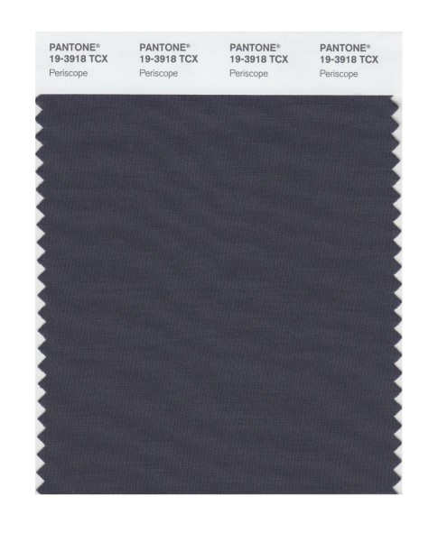 Pantone 19-3918 TCX Swatch Card Periscope