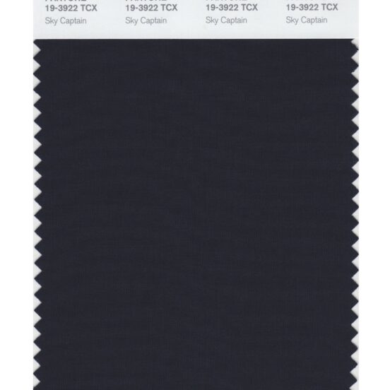 Pantone 19-3922 TCX Swatch Card Sky Captain