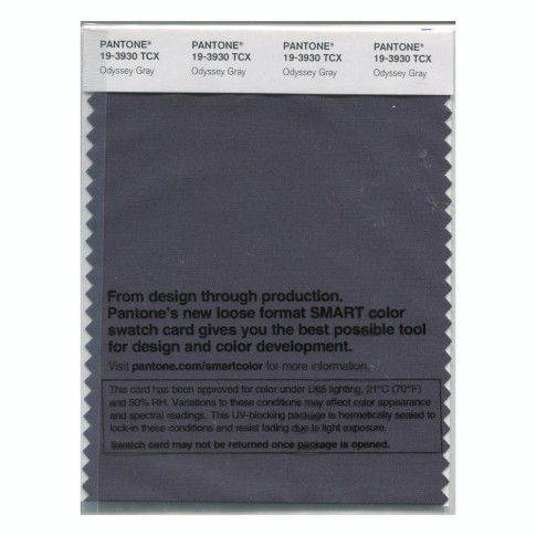 Pantone 19-3930 TCX Swatch Card Odyssey Gray