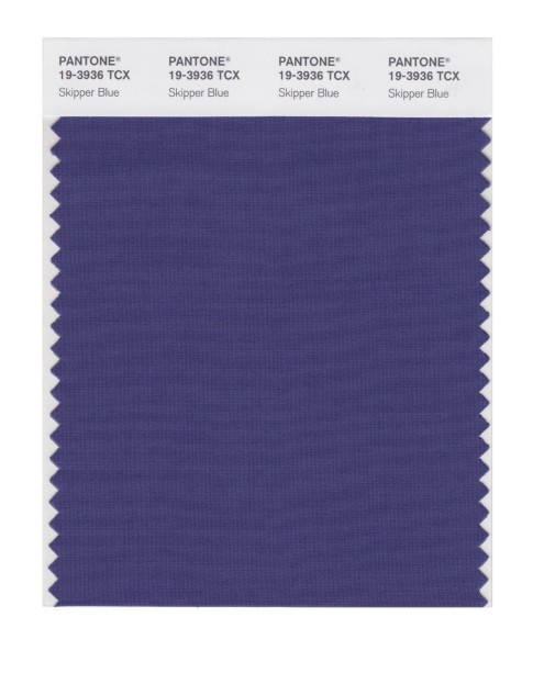 Pantone 19-3936 TCX Swatch Card Skipper Blue