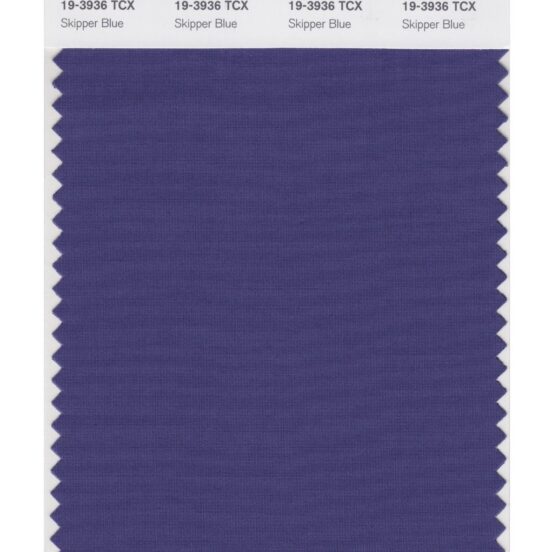 Pantone 19-3936 TCX Swatch Card Skipper Blue
