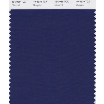 Pantone 19-3939 TCX Swatch Card Blue Print