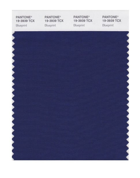 Pantone 19-3939 TCX Swatch Card Blue Print