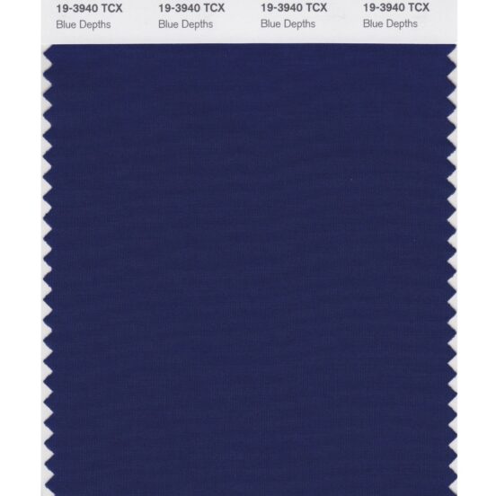Pantone 19-3940 TCX Swatch Card Blue Depths