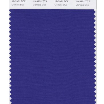 Pantone 19-3951 TCX Swatch Card Clematis Blue