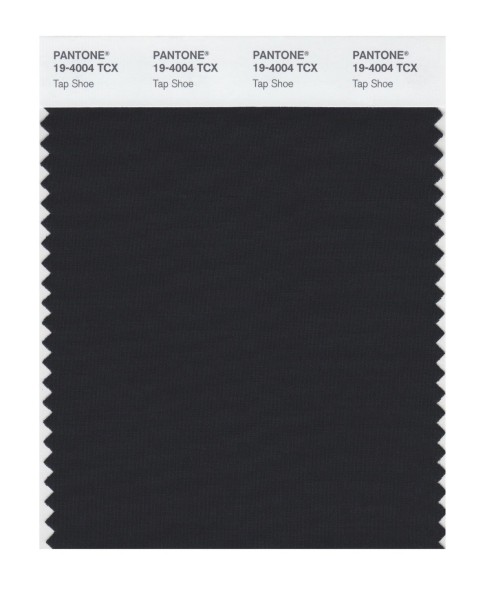 Pantone 19-4004 TCX Swatch Card Tap Shoe