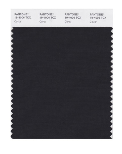 Pantone 19-4006 TCX Swatch Card Caviar