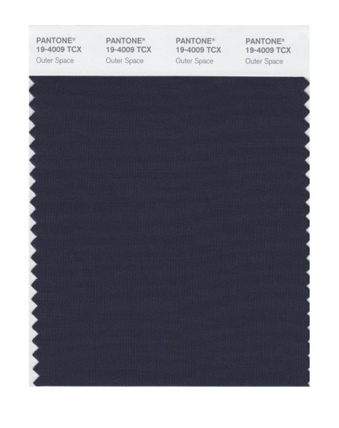 Pantone 19-4009 TCX Swatch Card Outer Space