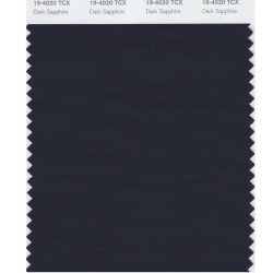 Pantone 19-4020 TCX Swatch Card Dark Sapphire