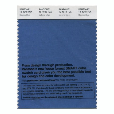 Pantone 19-4048 TCX Swatch Card Baleine Blue