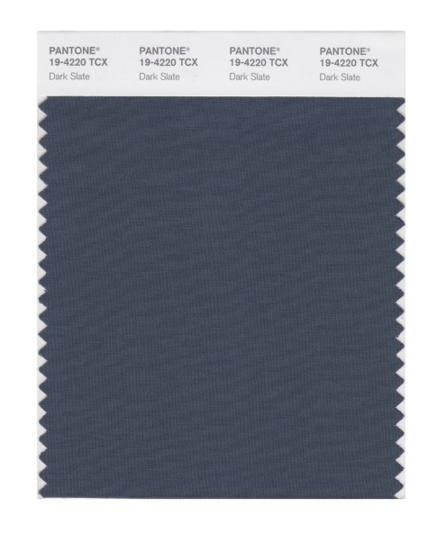 Pantone 19-4220 TCX Swatch Card Dark Slate