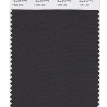 Pantone 19-4305 TCX Swatch Card Pirate Black