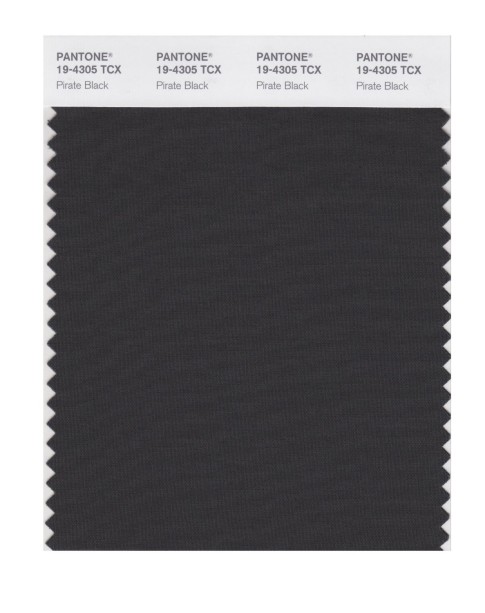 Pantone 19-4305 TCX Swatch Card Pirate Black