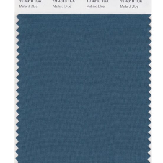 Pantone 19-4318 TCX Swatch Card Mallard Blue