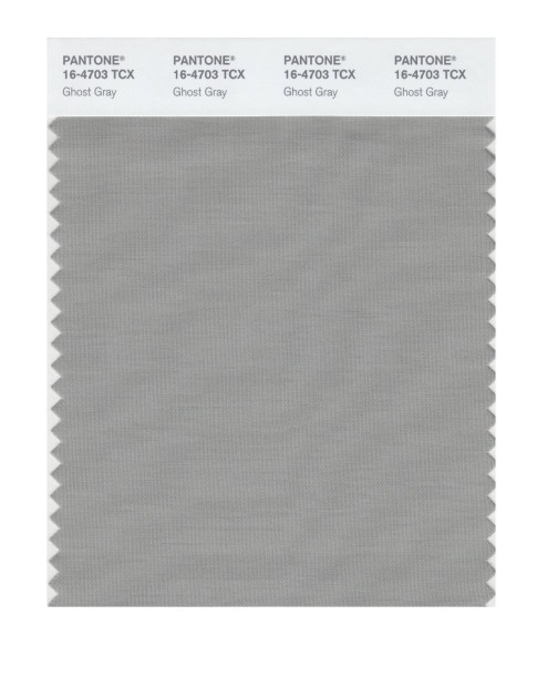 Pantone 16-4703 TCX Swatch Card Ghost Gray
