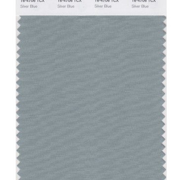 Pantone 16-4706 TCX Swatch Card Silver Blue
