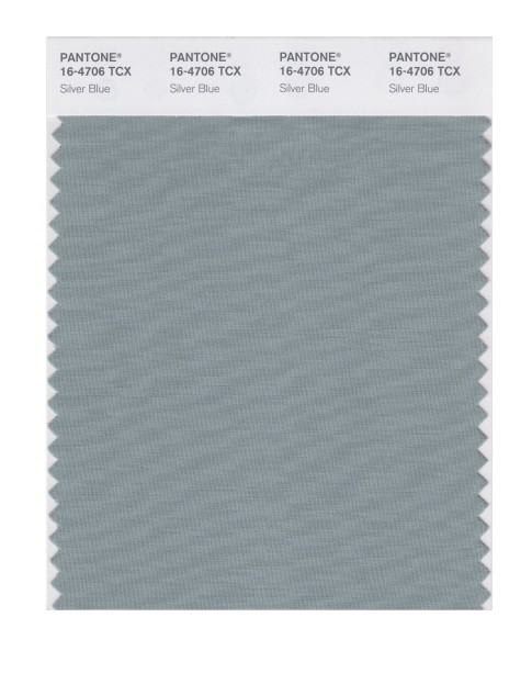 Pantone 16-4706 TCX Swatch Card Silver Blue
