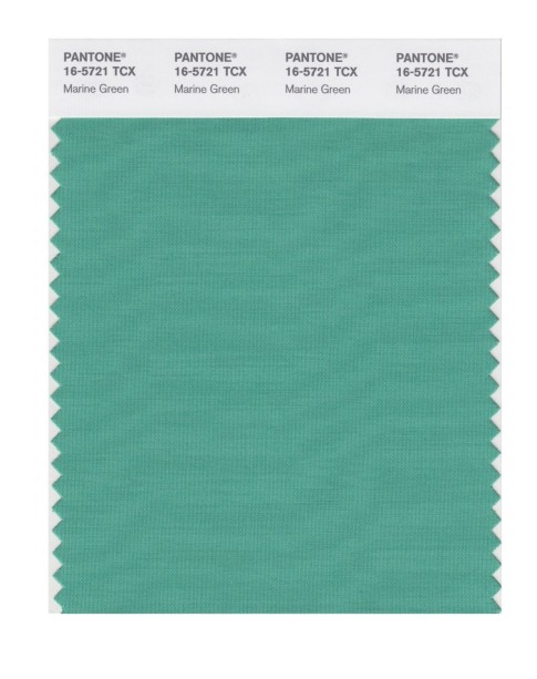Pantone 16-5721 TCX Swatch Card Marine Green