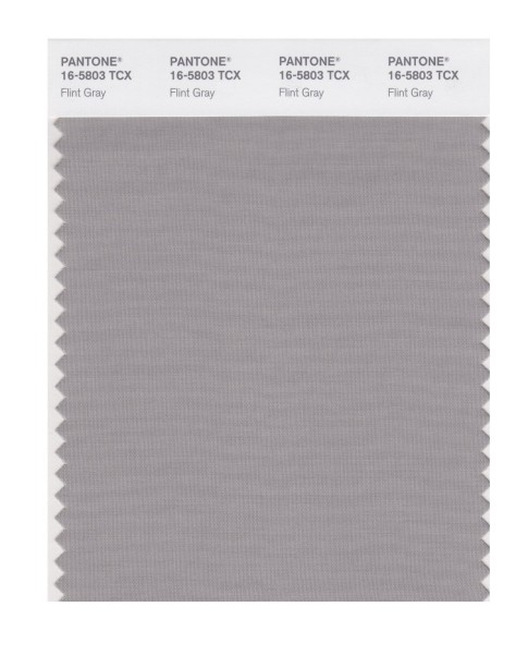 Pantone 16-5803 TCX Swatch Card Flint Gray